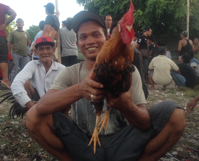 man holds rooster in bali