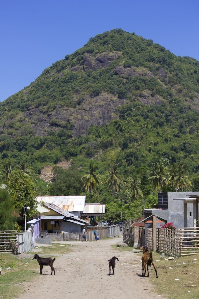 sumbawa village